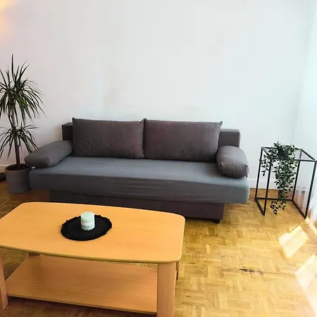 Apartment Grand Lumineux Et Lyon