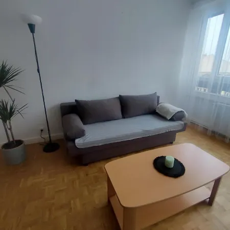 Apartment Grand Lumineux Et Lyon